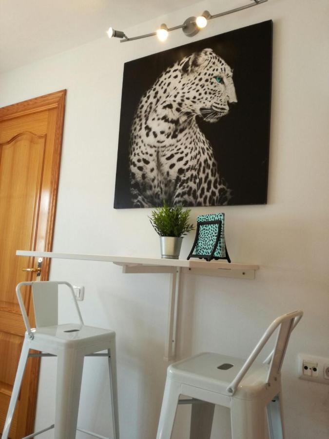 Atico Siroco Apartment Sanlúcar de Barrameda Екстериор снимка